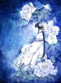 白夜欲眠