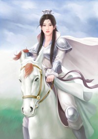 特殊桌游(NPH)